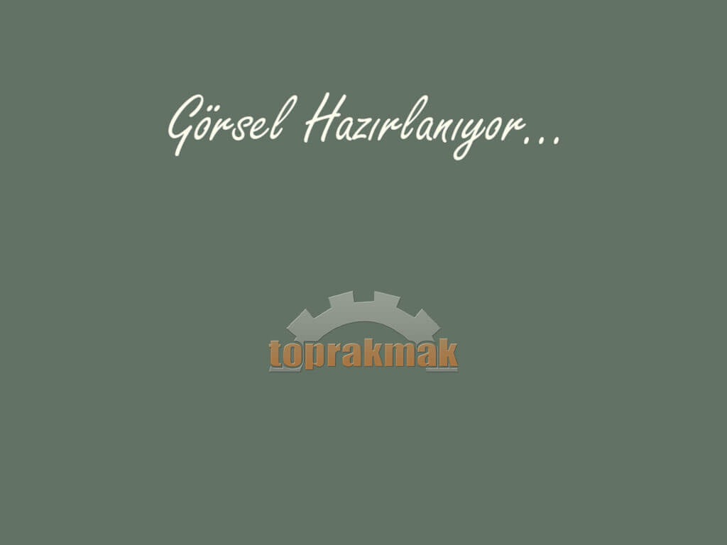 SADECE MANTARLI DİSK GÖBEKLERİ YOK-